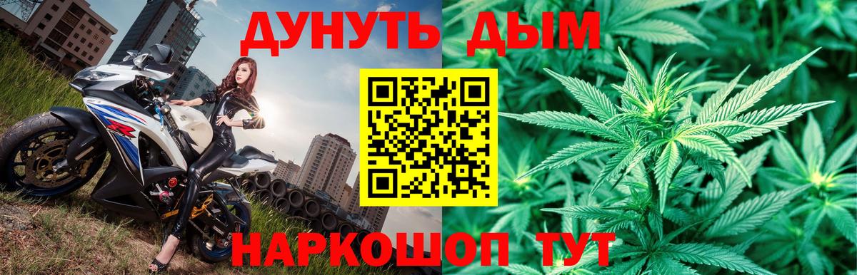 Кольчугино  Марихуана семена  Конопля сатива  Вход с VPN 