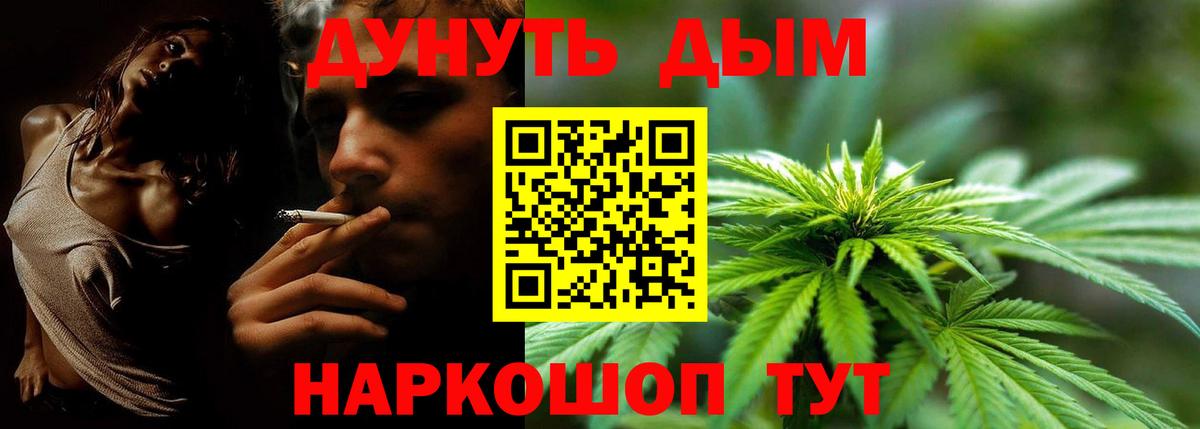 Конопля конопля Кольчугино